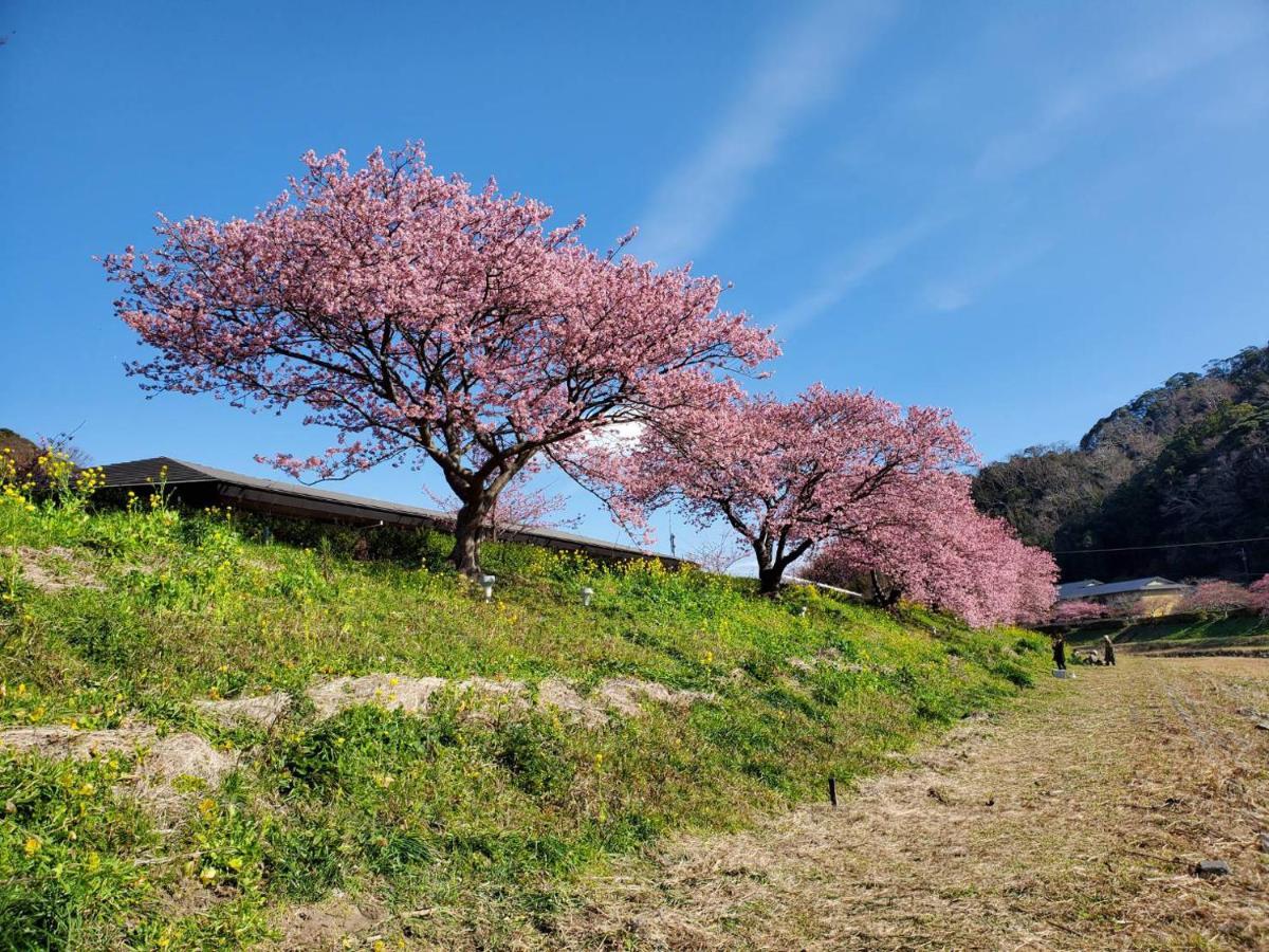 ホテル ペンション 百万本のバラ 下田市 エクステリア 写真